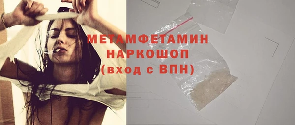 прущие грибы Елабуга
