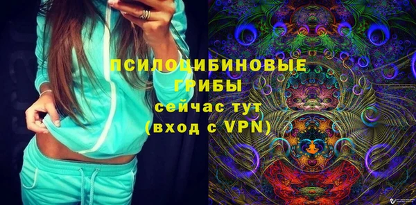 а пвп мука Алзамай
