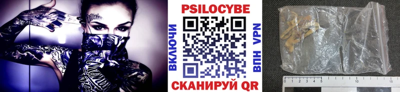 Галлюциногенные грибы прущие грибы  Павловский Посад 